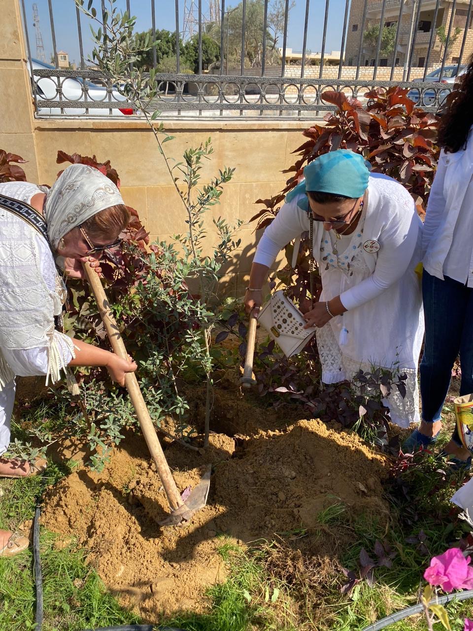 District Chairman Mrs. Mona Aref Plantig a tree