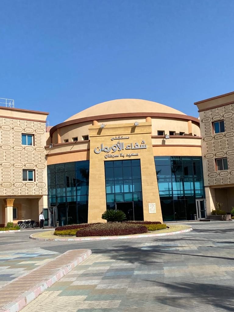 1-Shefaa El Orman hospital at Upper Egypt