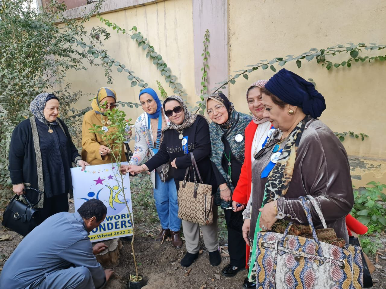IWC of El Mansoura Planted a tree Health improvement Association